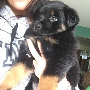 Meet your Posher, Kristi